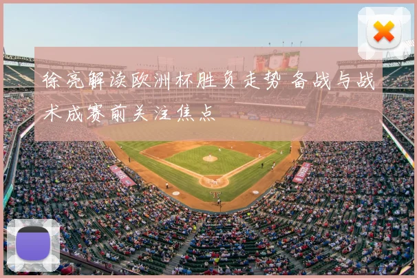 徐亮解读欧洲杯胜负走势 备战与战术成赛前关注焦点